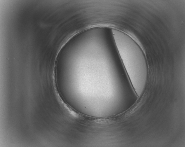 X0000072530906200607141007