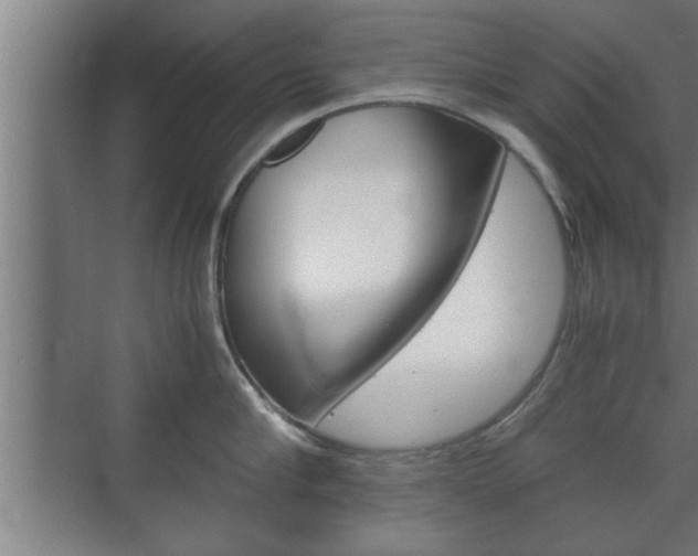X0000072530910200607141007