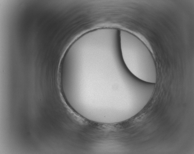 X0000072530911200607141007