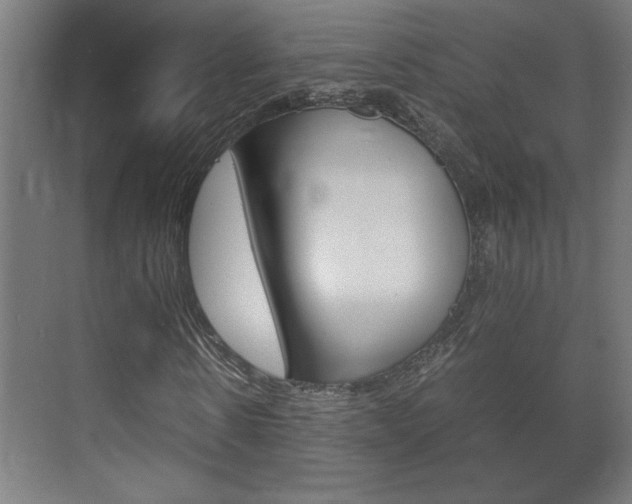 X0000072530914200607141006