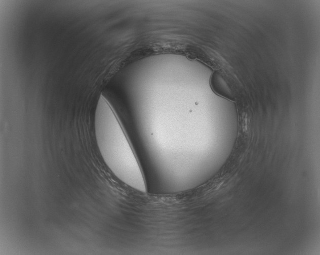 X0000072530915200607141006