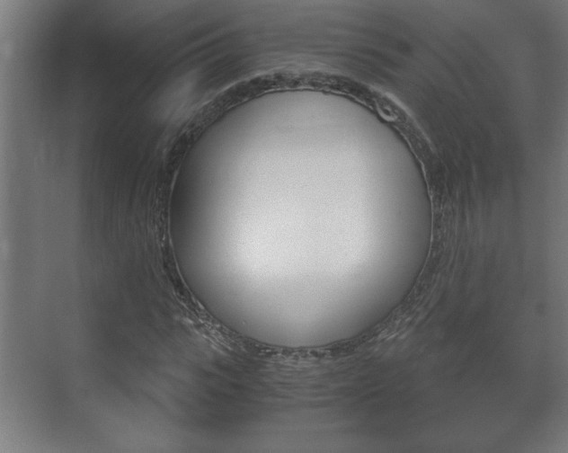 X0000072530919200607141006