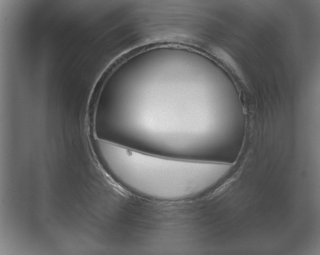 X0000072530924200607141006