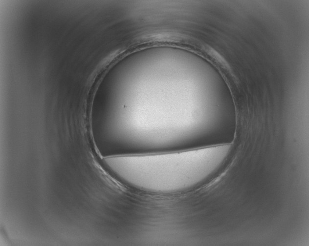 X0000072530930200607141006