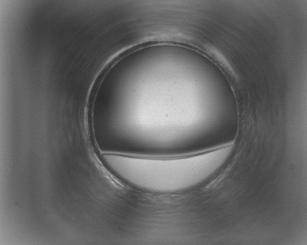 X0000072530932200607141006