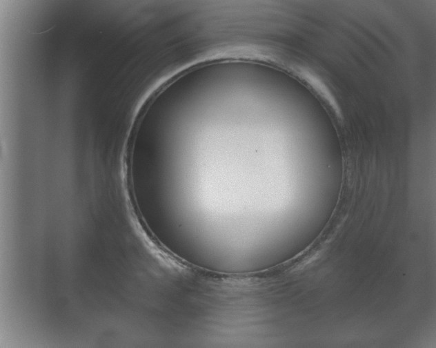 X0000072530944200607141007