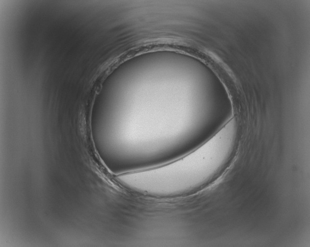 X0000072530969200607141006