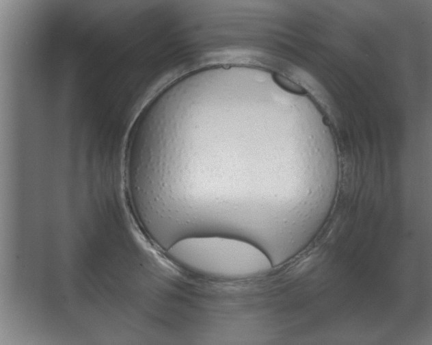X0000072530994200607141006