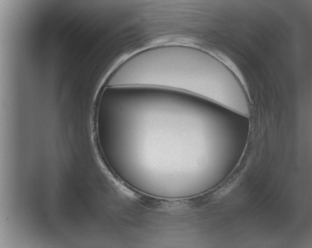 X0000072530997200607141006