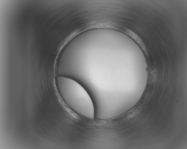 X0000072531002200607141005