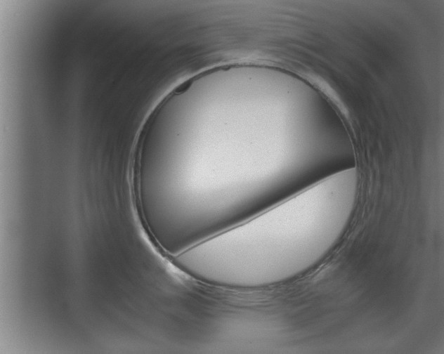 X0000072531007200607141005