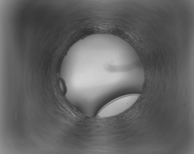 X0000072531009200607141005