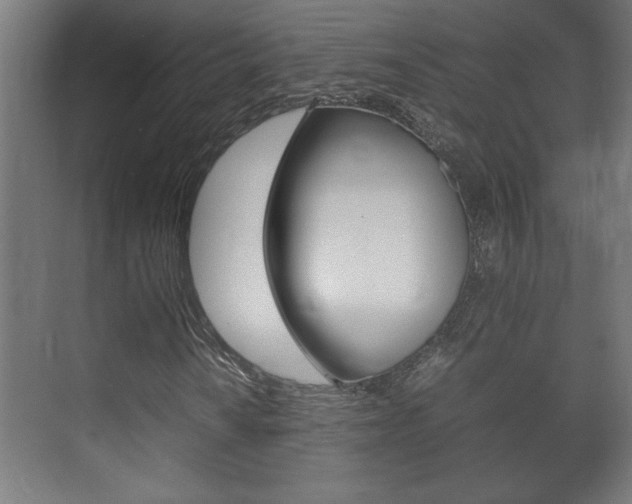 X0000072531010200607141005