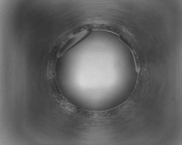X0000072531014200607141005