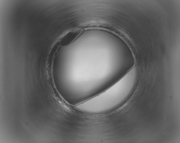 X0000072531018200607141005