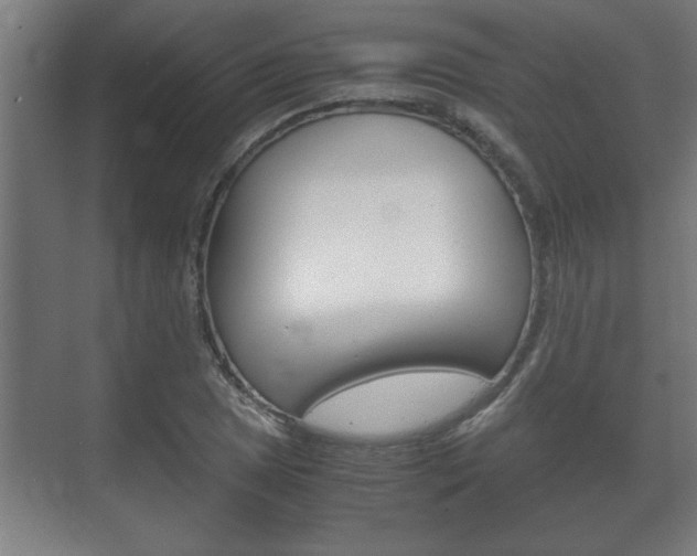 X0000072531025200607141005