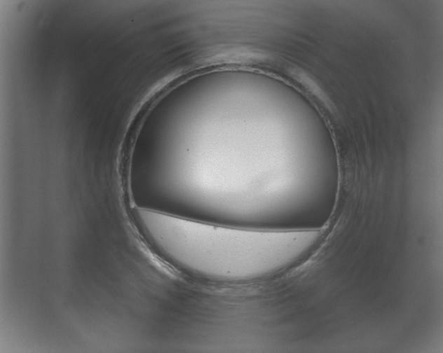 X0000072531026200607141005