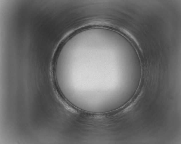 X0000072531029200607141005