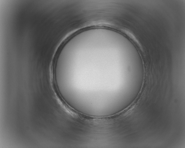 X0000072531032200607141005