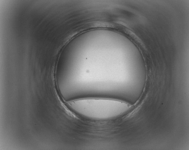 X0000072531033200607141005
