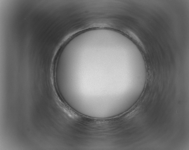 X0000072531035200607141005