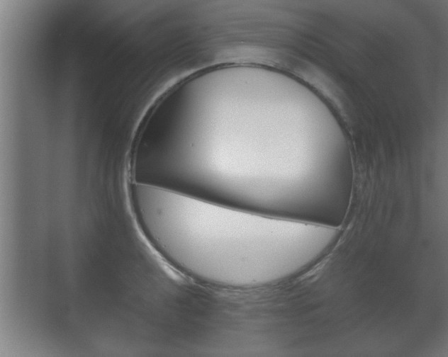 X0000072531040200607141005