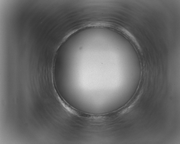 X0000072531041200607141005