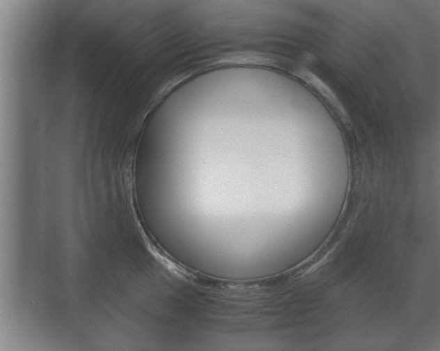 X0000072531049200607141005