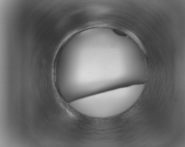 X0000072531051200607141005