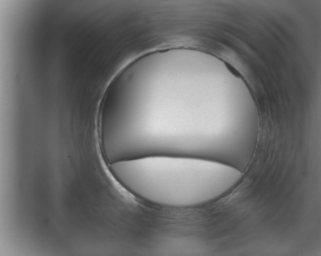 X0000072531055200607141005