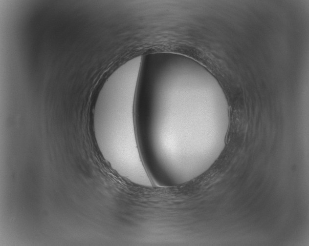 X0000072531057200607141005