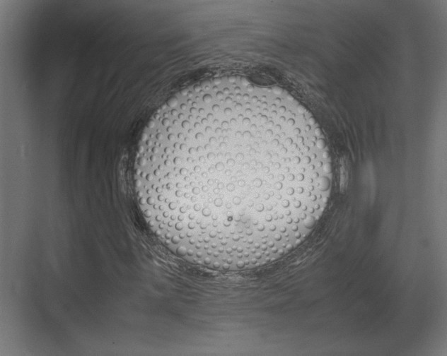 X0000072531059200607141004
