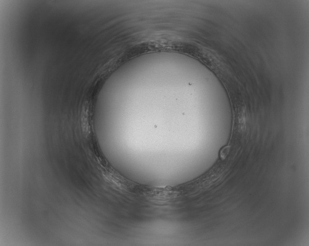 X0000072531060200607141004