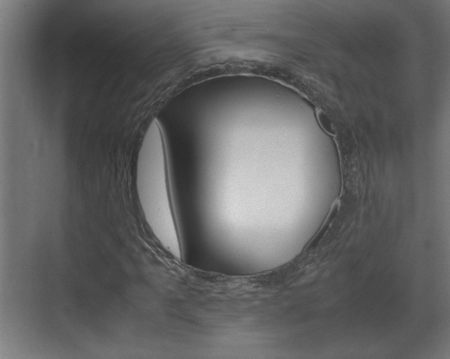 X0000072531061200607141004