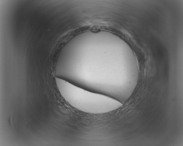 X0000072531063200607141004