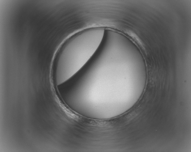 X0000072531072200607141004