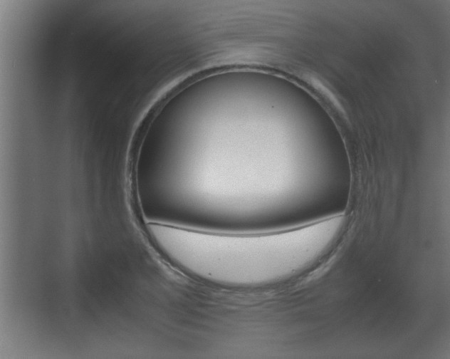 X0000072531077200607141004
