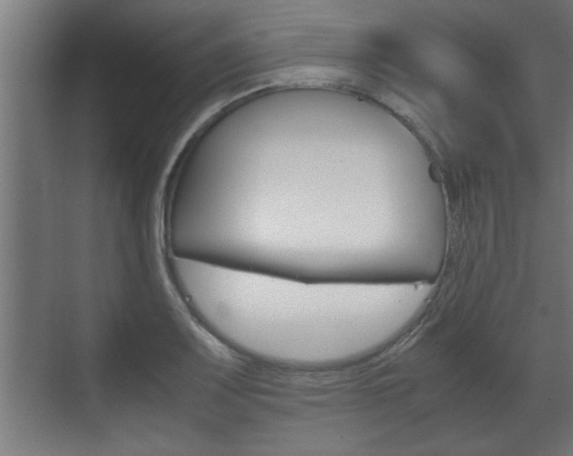 X0000072531083200607141004
