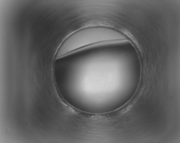 X0000072531089200607141004