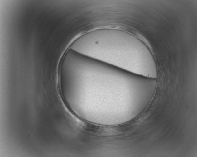 X0000072531095200607141004