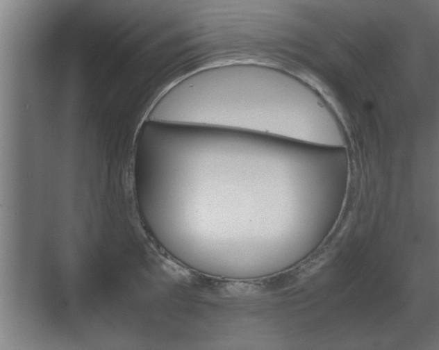 X0000072531097200607141004