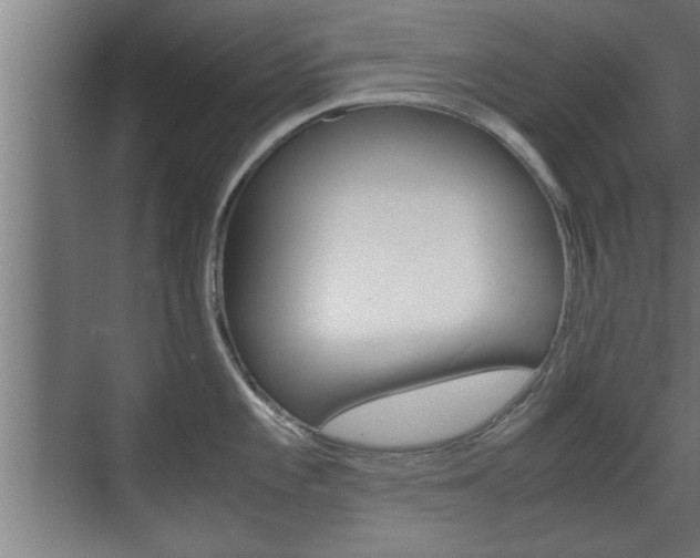 X0000072531101200607141004