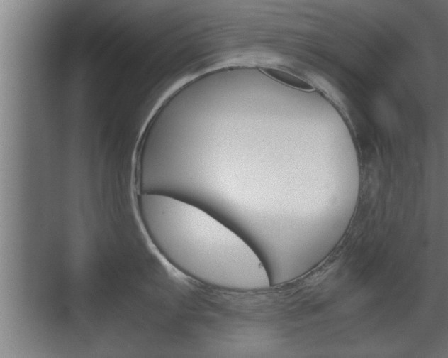 X0000072531103200607141004