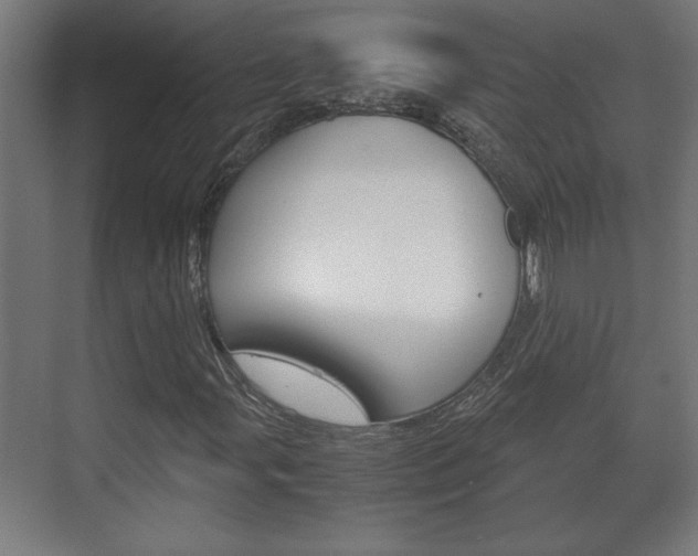 X0000072531107200607141003