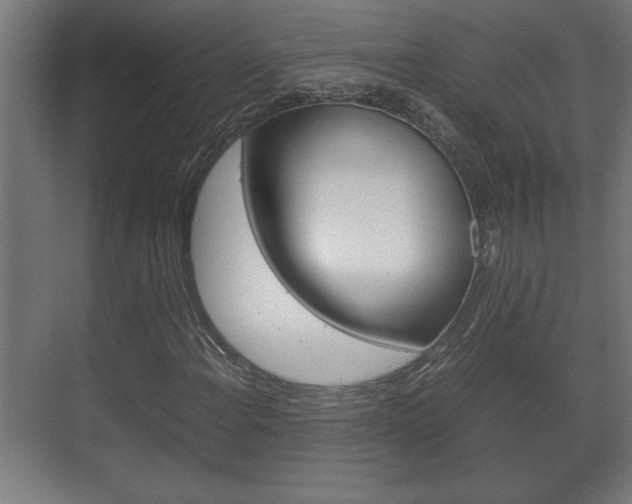 X0000072531108200607141003