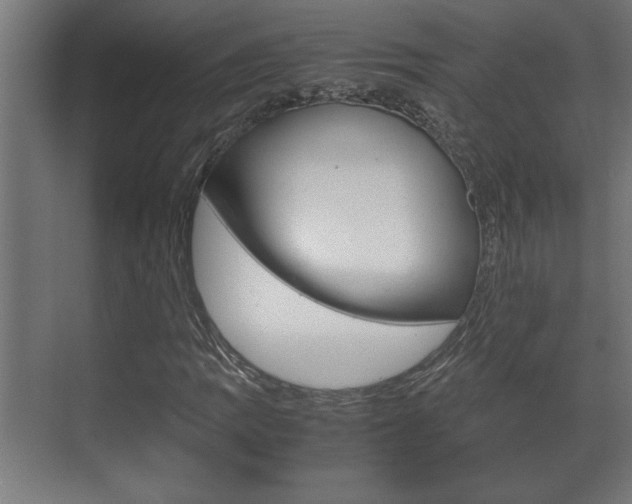 X0000072531109200607141003