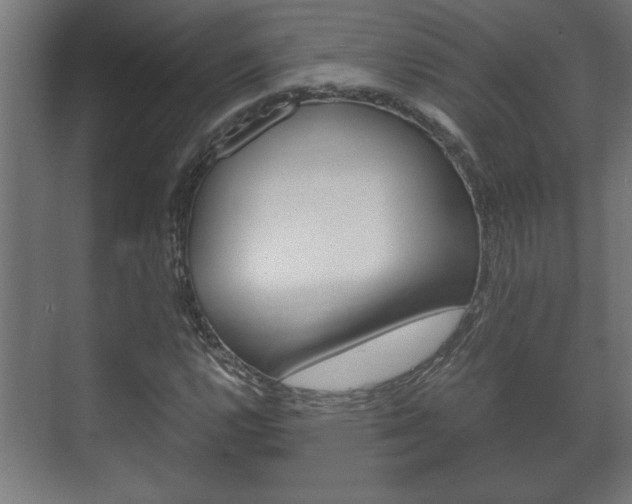 X0000072531112200607141003