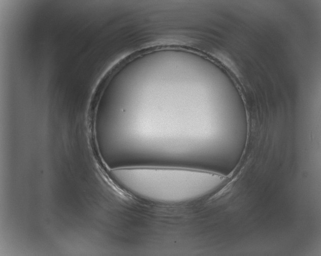 X0000072531119200607141003
