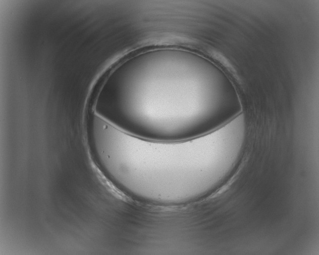 X0000072531122200607141003