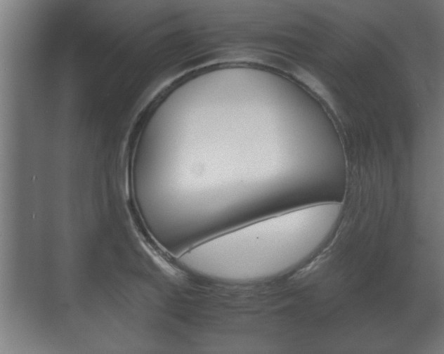 X0000072531127200607141003